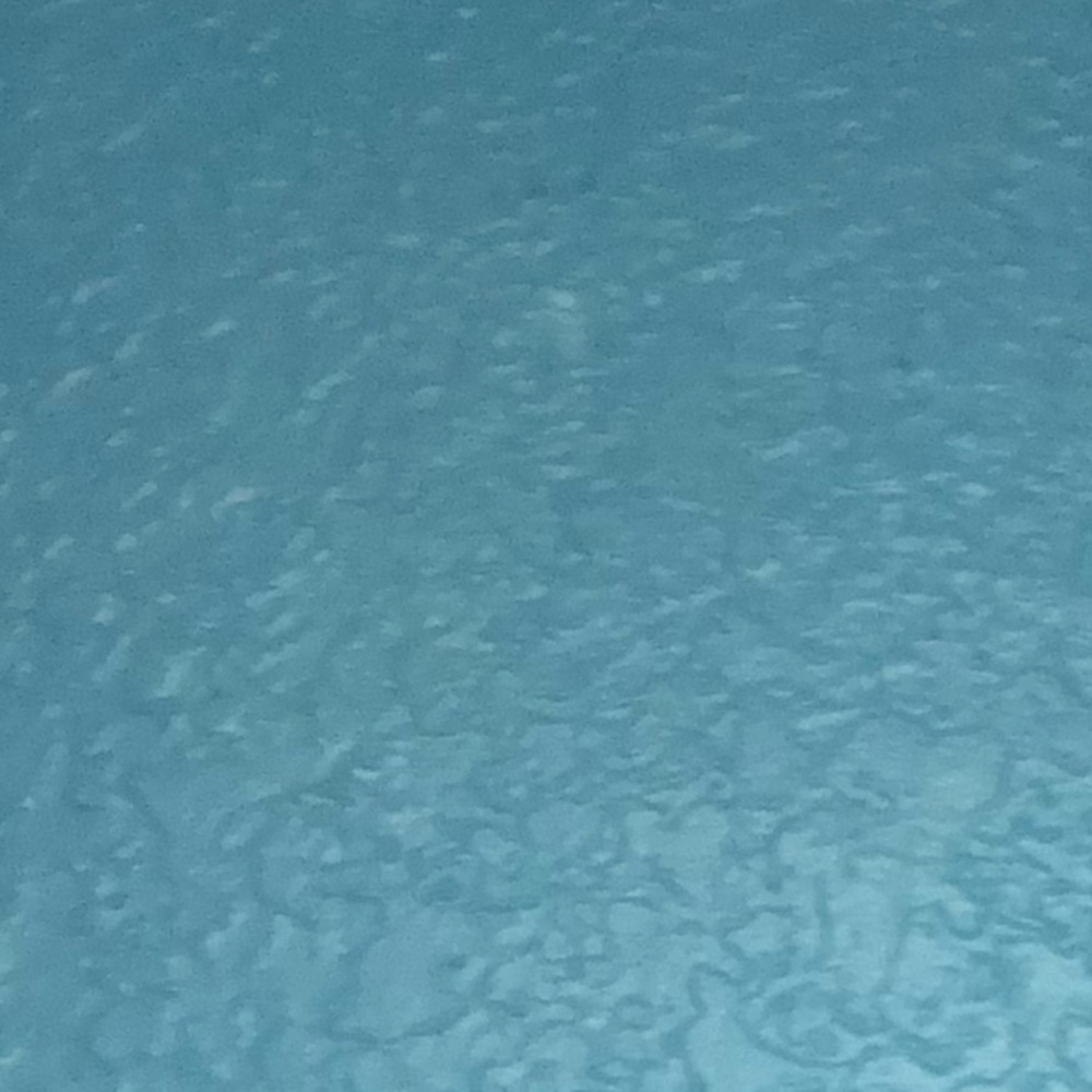 Meet your Posher, Hailey